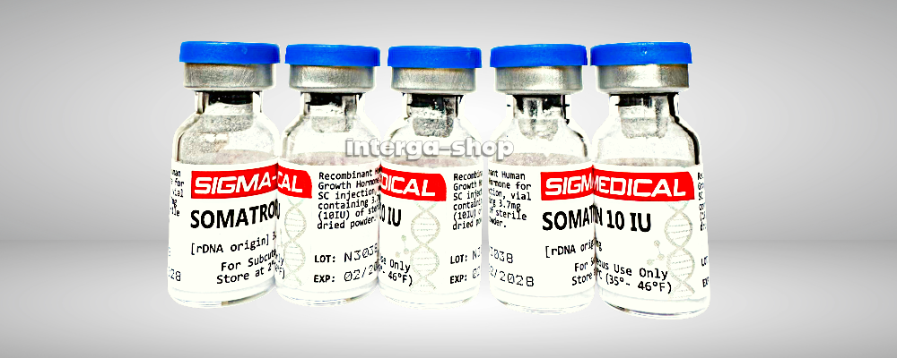 Повний гід по використанню Гормону Росту для новачків та профі: Від біохімії до результату